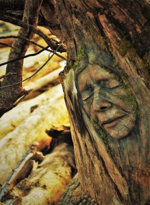 face debra bernier 219x300 - Mercury Retrograde Scorpio