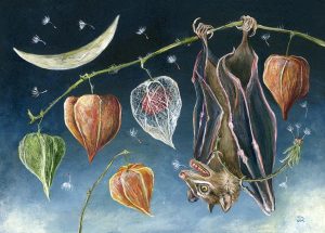 A Wish Away Janie Olson 300x215 - Scorpio New Moon, Dark Moon