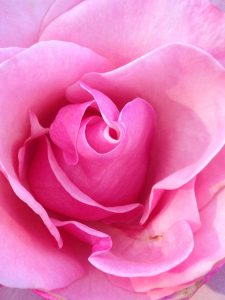 IMG 6355 scaled 225x300 - Venus Retrograde Leo, Take Off the Mask