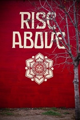 rise - Aquarius New Moon & Cross-Quarter