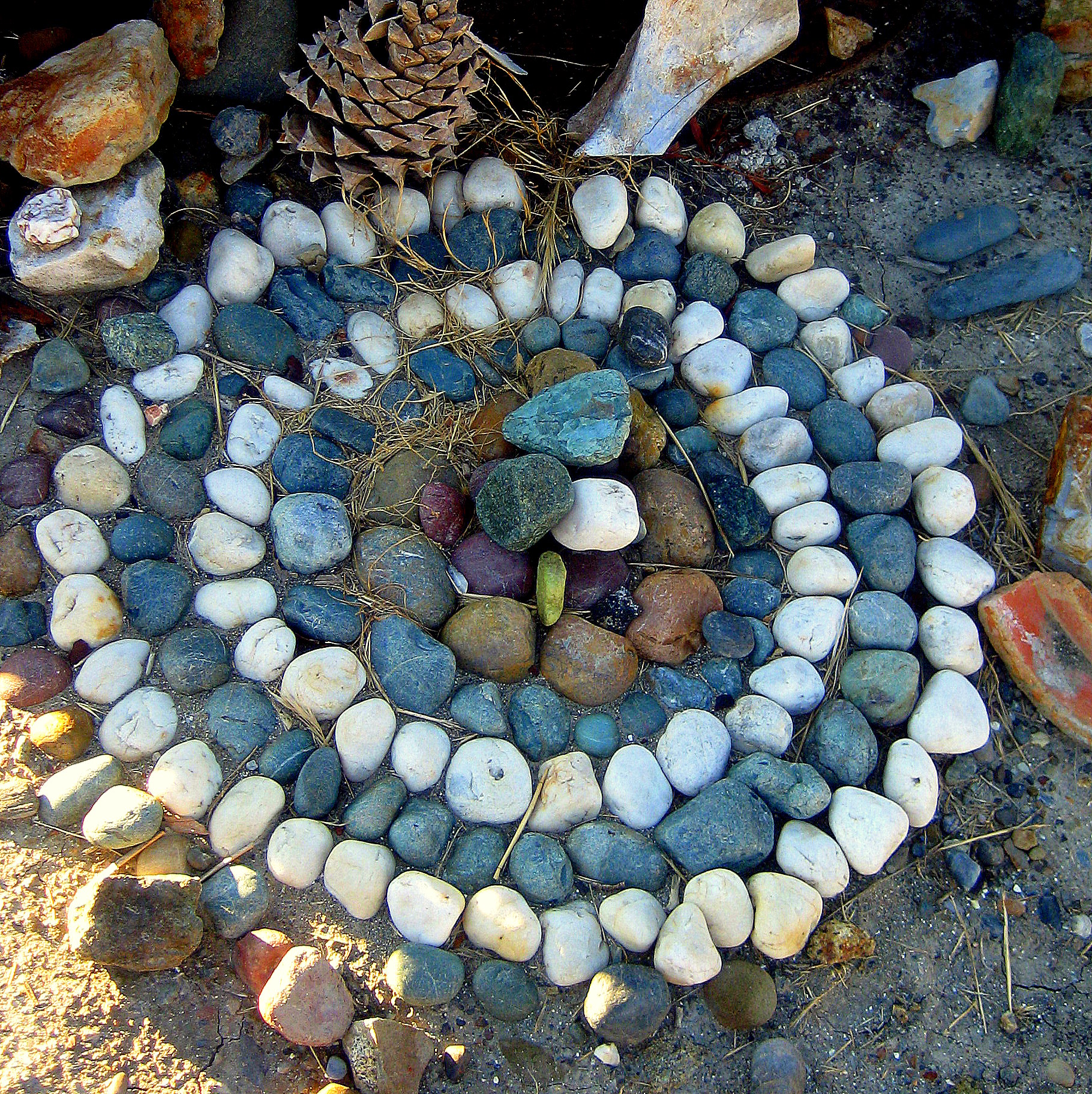 Deep in the marrow of our bones. Jacqueline Lasahn