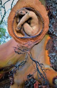 Debra Bernier An Awakening Within 193x300 - Scorpio New Moon: Deeper
