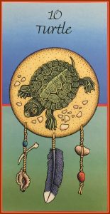 Medicine Card Turtle  155x300 - A Traveling Turtle Story